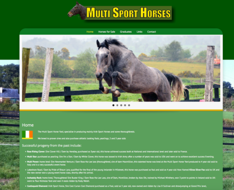 Multi Sport Horses