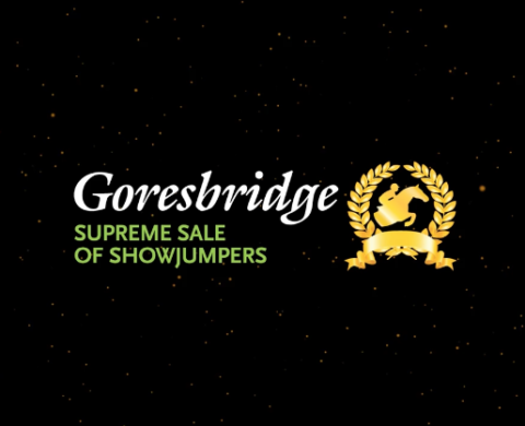 Goresbridge Supreme Sale of Showjumpers