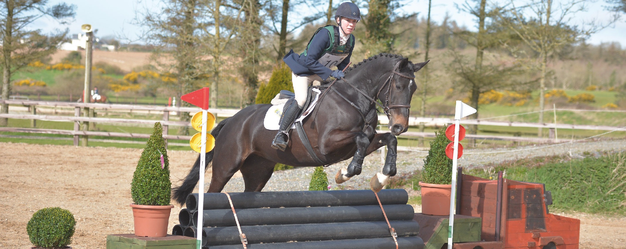 Wexford Equestrian - Stepping Stones (1)