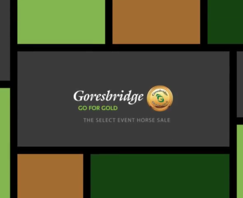 Goresbridge Go for Gold Sale 2016