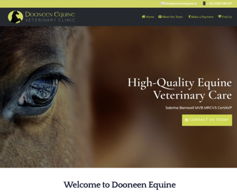 Dooneen Equine Veterinary Clinic