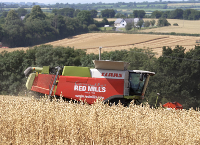 Connolly’s RED MILLS – Harvest 2021