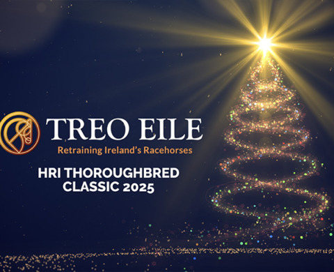 Treo Eile Christmas Show 2025