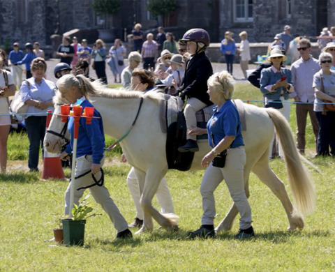 RDA Ireland – Promotional Video